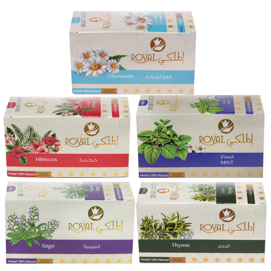 5 Flavors Offer - 100 Bags