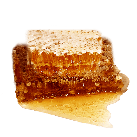 سلة الهدايا