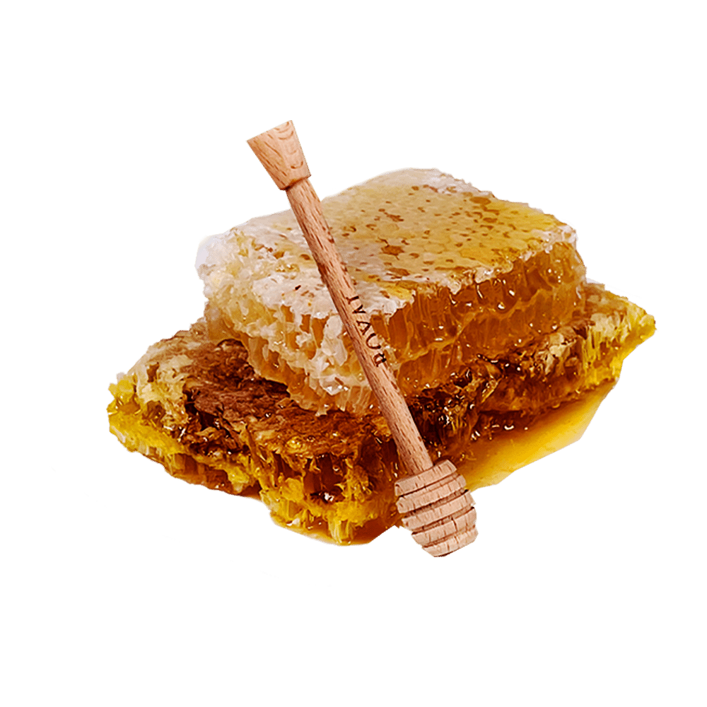 شهد عسل حبة البركة