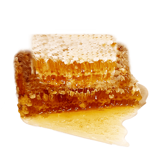 هدية السلة العائلية