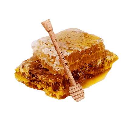 شهد عسل السدر-200غ