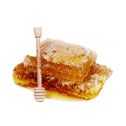 شهد عسل حبة البركة