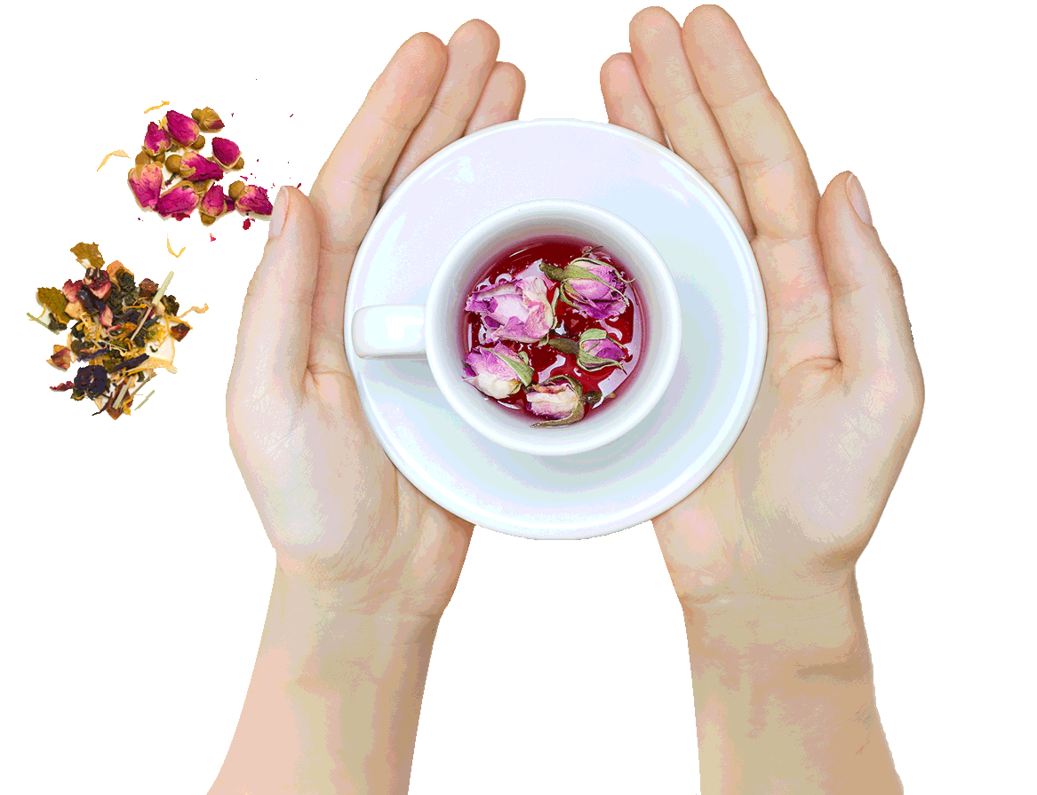 Cup Of Herbal Tea In Hands with Herbs