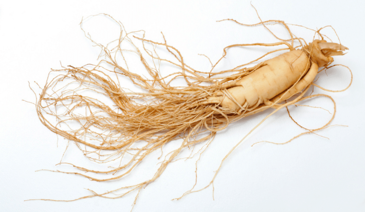 Ginseng lying on a white floor